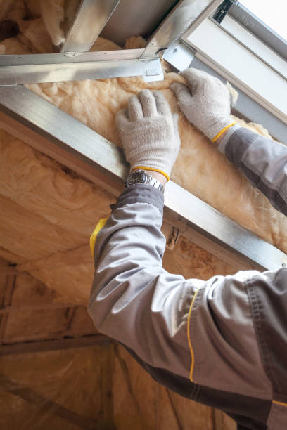 Best Geographic-Specific Insulation Services in Atlantic, IA