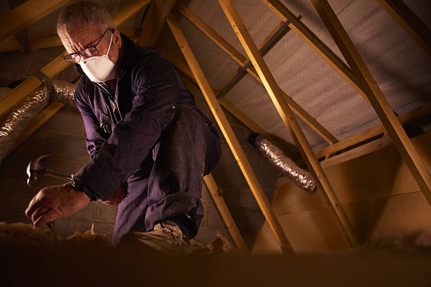 Best Insulation Maintenance and Repair in Atlantic, IA
